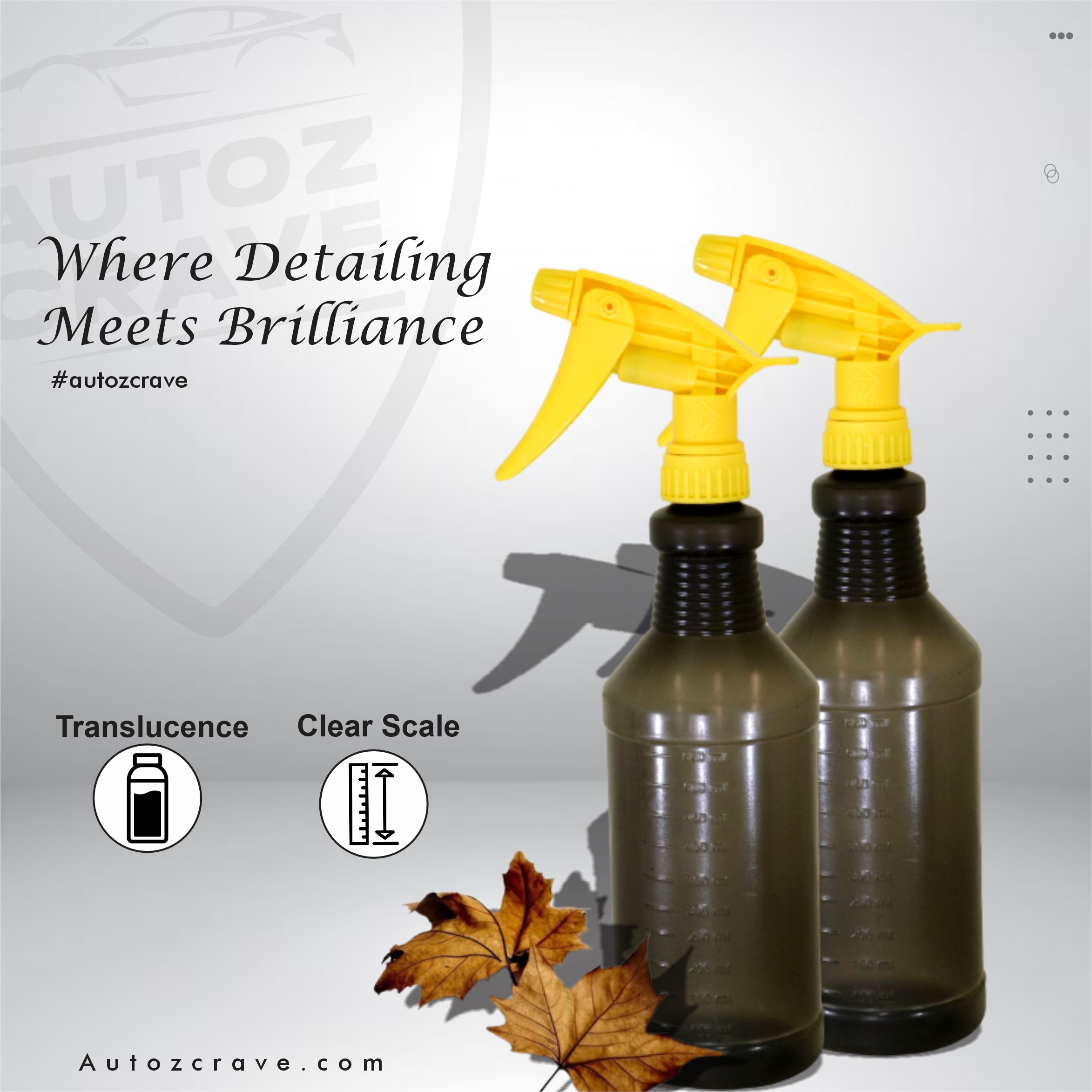 AUTO DETAILING SPRAY BOTTLE ( CHEMICAL RESISTANT TAIWAN TRIGGER )